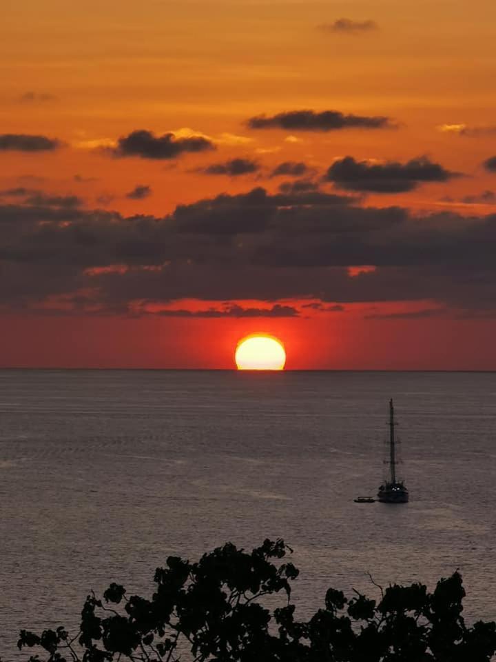 Villa Manolo Ocean And Forest View Hotel Drake Bay ภายนอก รูปภาพ