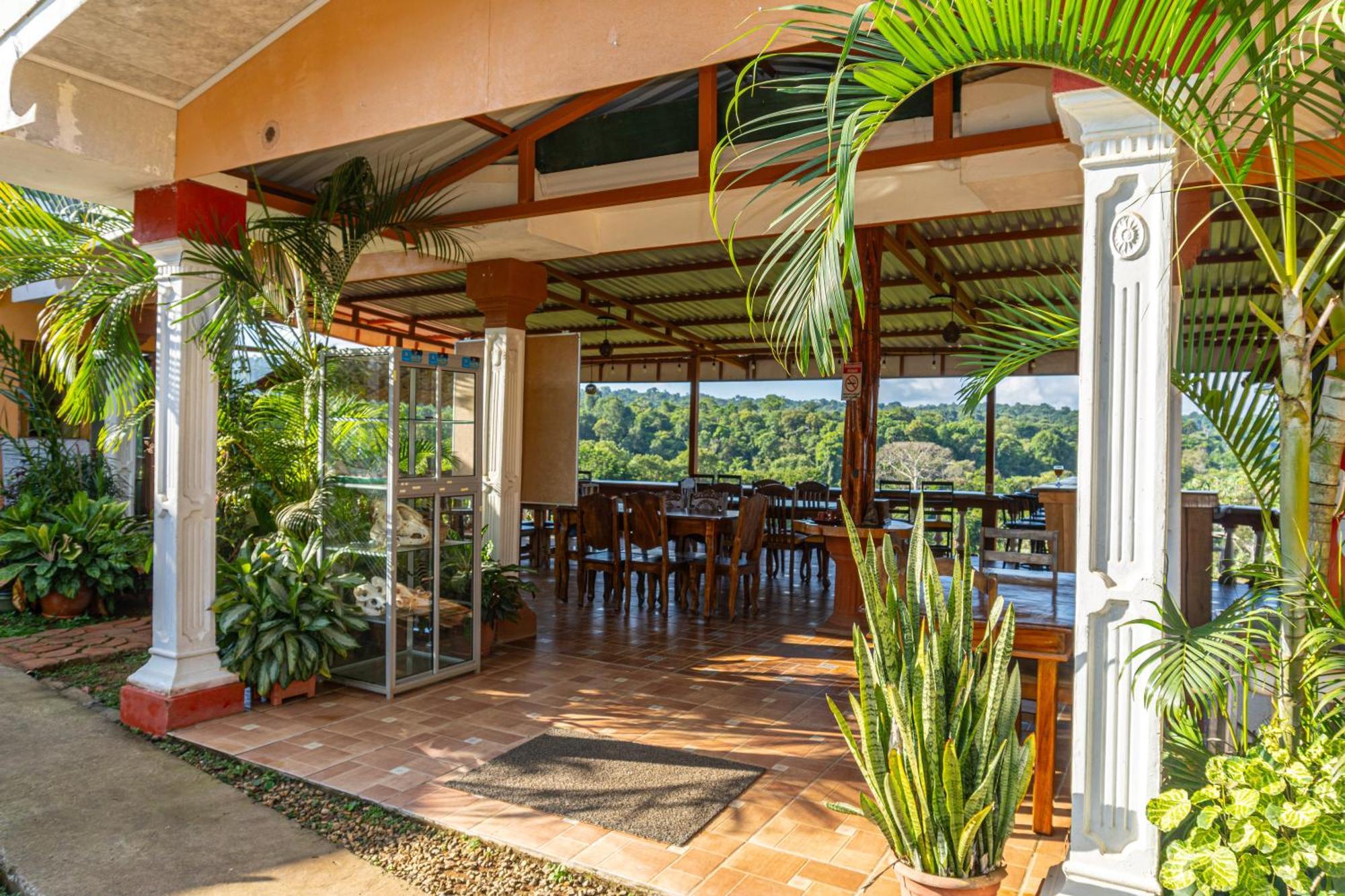 Villa Manolo Ocean And Forest View Hotel Drake Bay ภายนอก รูปภาพ